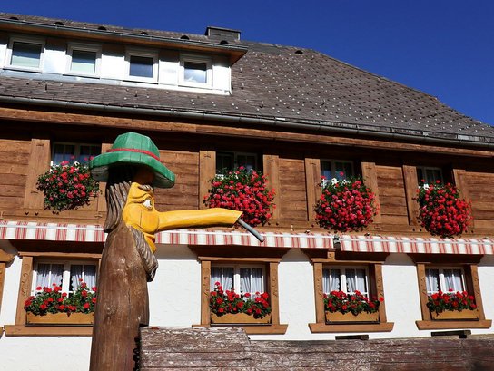 Höhenpension Glashütte